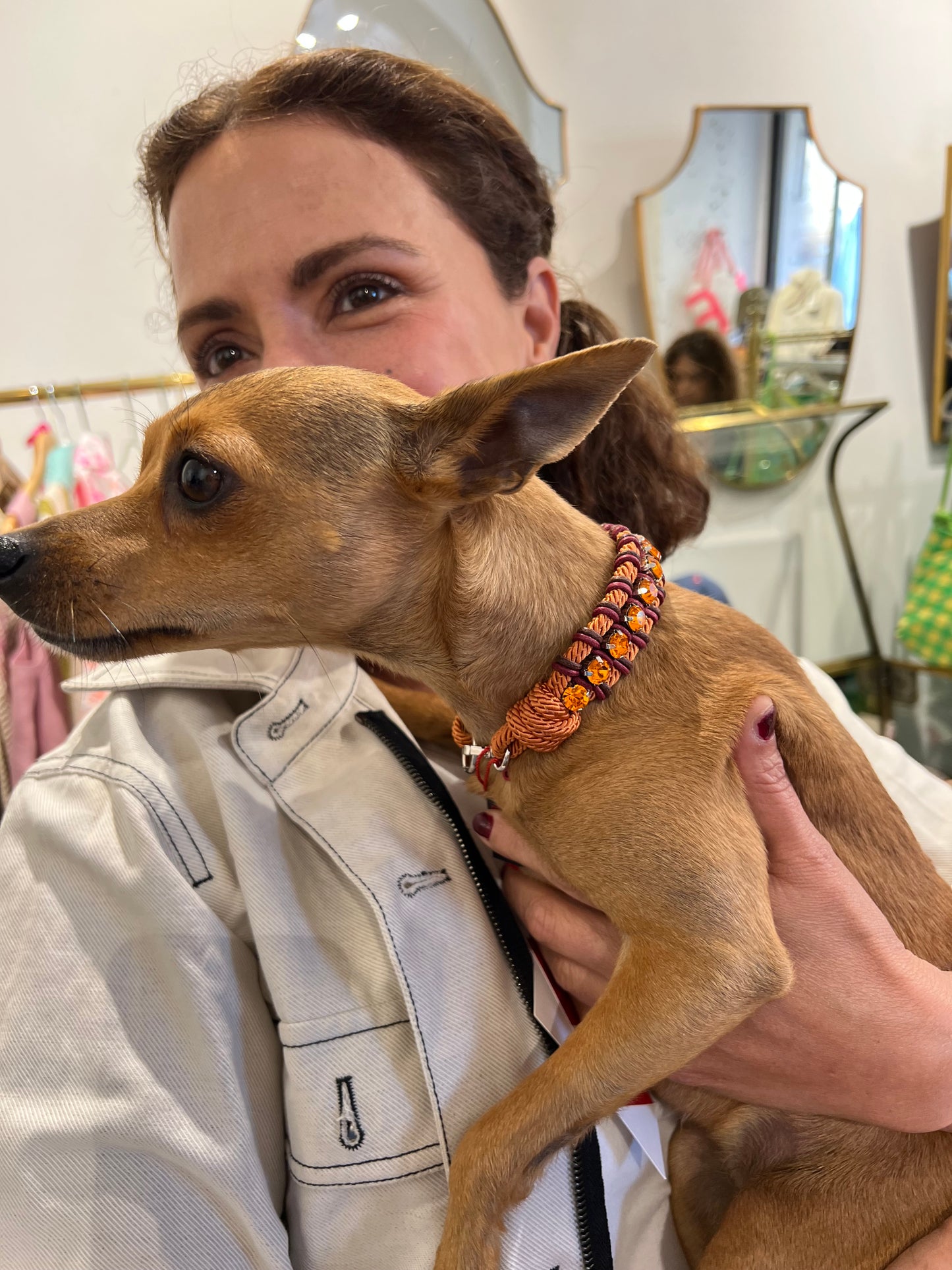 Collare per cane - Collare per cane Juliette rosa e marrone con pietra TS