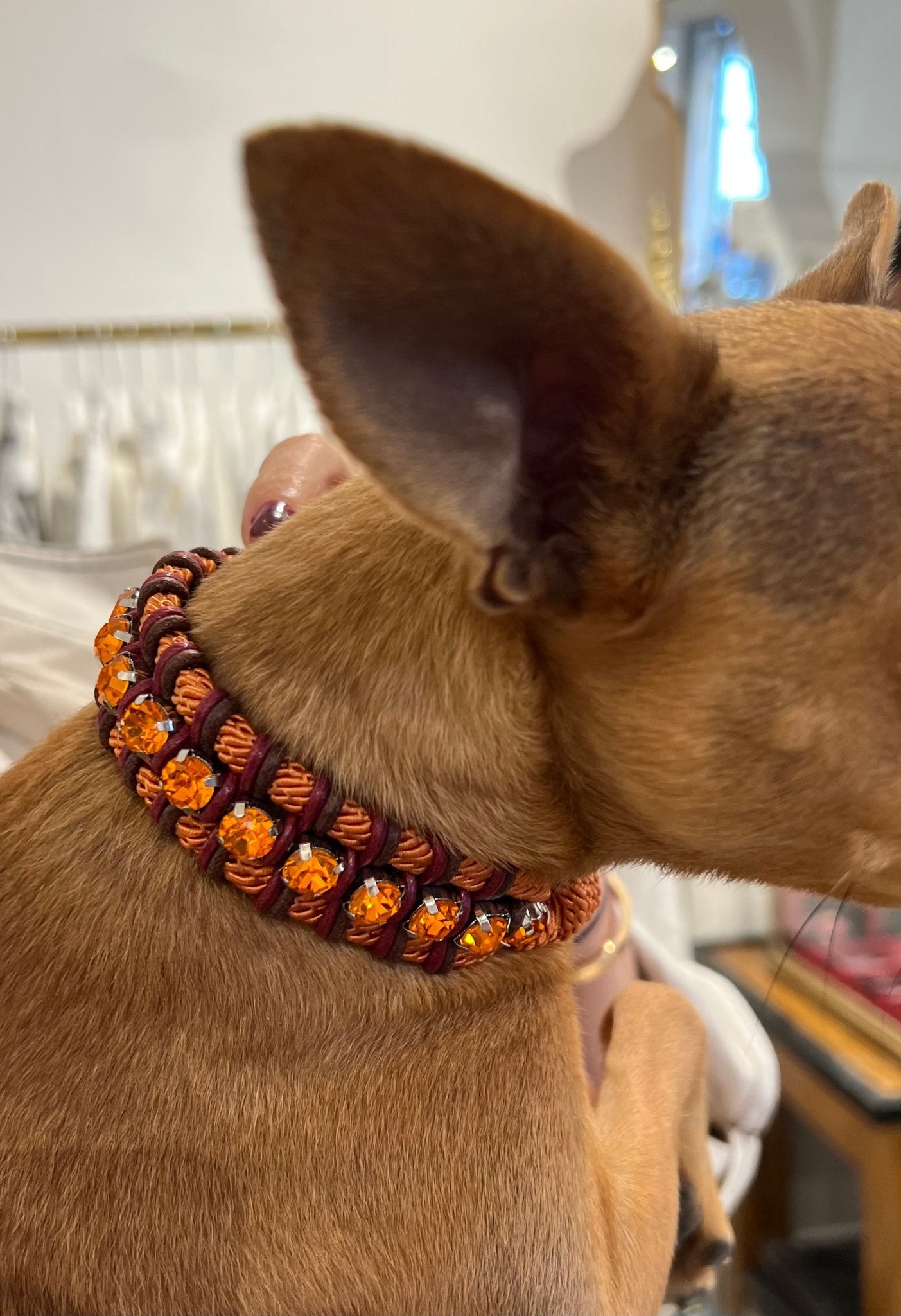 Dog Collar - Juliette Orange & Brown with Stone